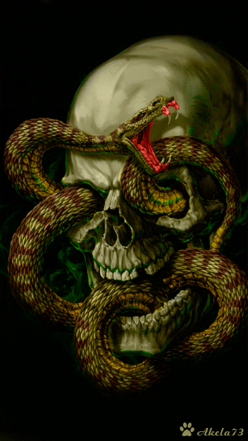 Snake & Skull.gif