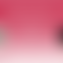 FLP Connect Vol 13, Mars 2025