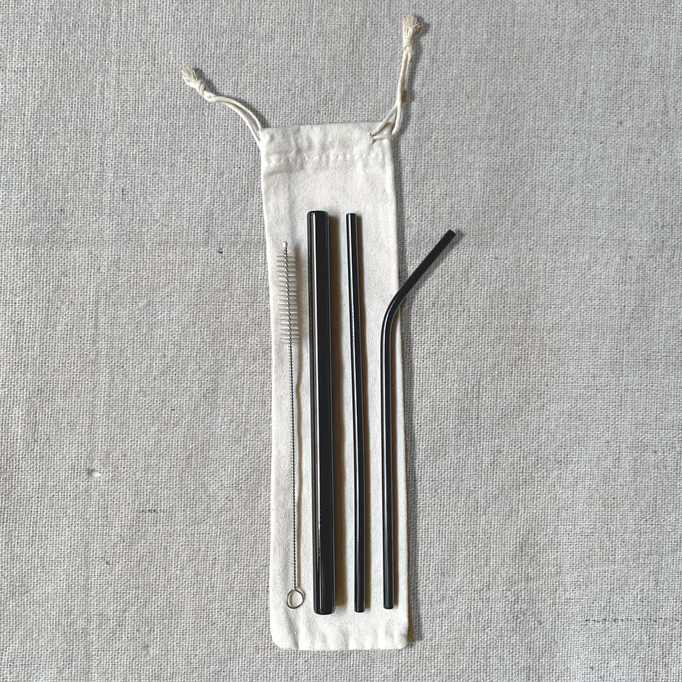 Thumbnail: Steel Straw Sets