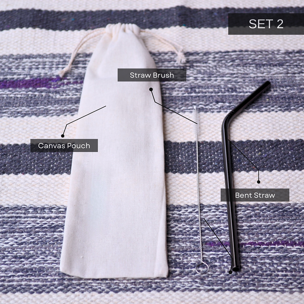 Thumbnail: Steel Straw Sets