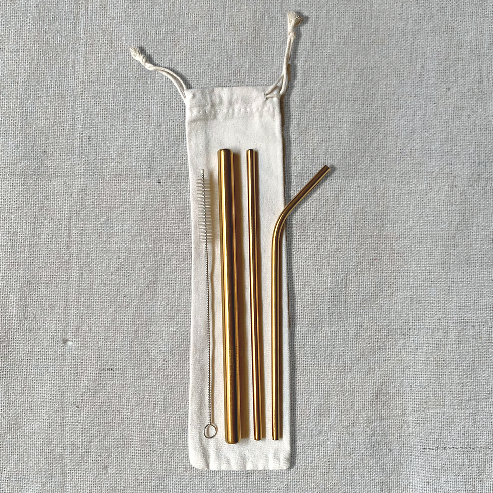 Thumbnail: Steel Straw Sets