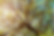 Untitled design (7).png