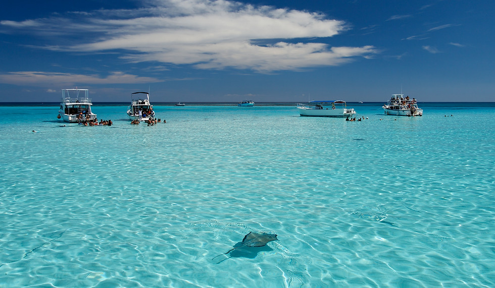 cayman-islands-stingray-city.jpg