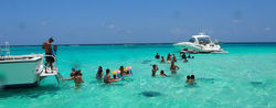 Kids at Stingray City