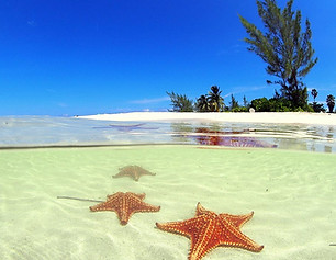 stingray-city-and-starfish-point.jpg.jpg