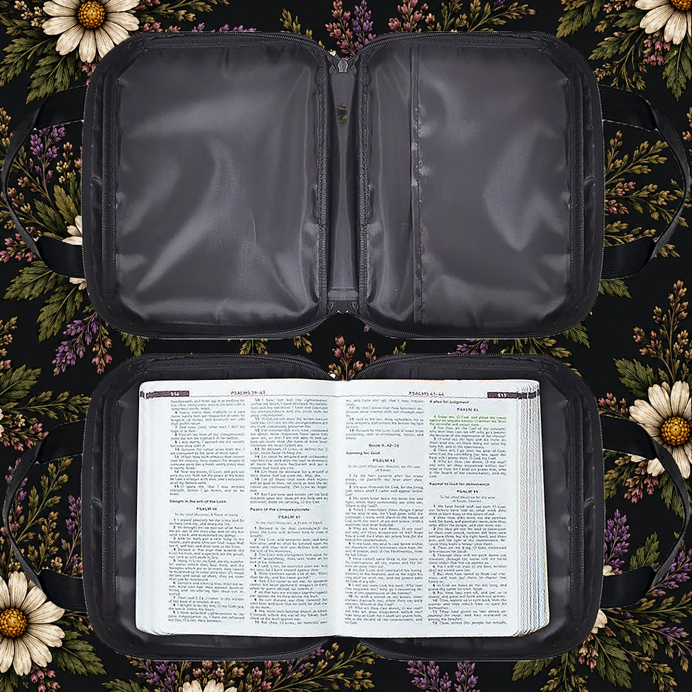 Thumbnail: Daniel 6:22 I Know The King! Scripture Bag