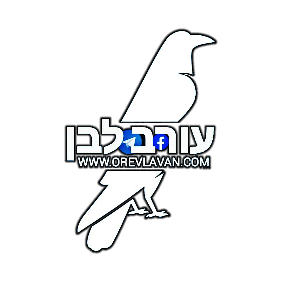 תמונת הסופר/ת: Orev Lavan