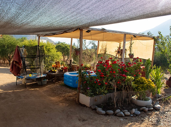Casa Decorada, Con ambiente calido.