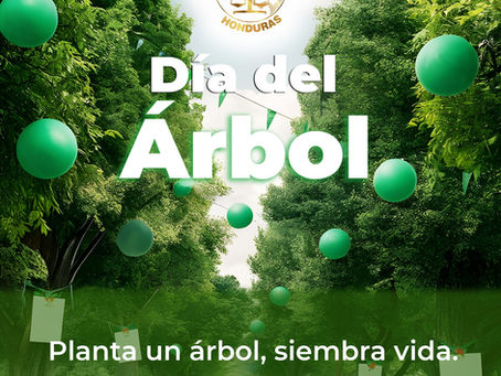 "Raíces de Conciencia: Un Llamado del Colegio de Abogados de Honduras para Proteger Nuestros Bosques en su Día" 