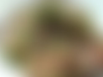 Vegan arroz con lentejas (lentil rice)