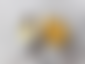 Vinaigrette and Quinoa Lentil Salad Feb 2025