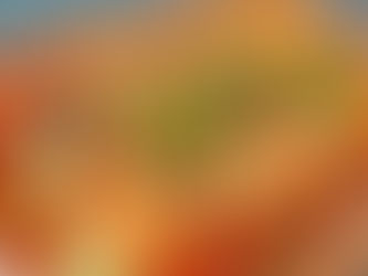 Grilled beans& veggies