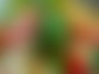 Udon Noodles with Typical Asian Sauce