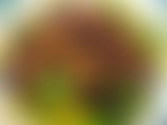 Garlic Ginger Eggplant