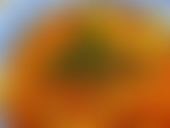 Cabbage & Pepper Vegan Stew