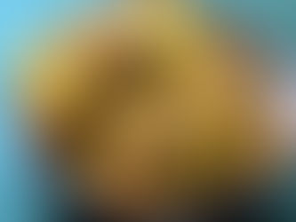 Gobi(cauliflower) pakora