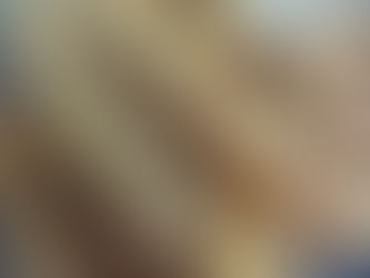 One Bowl Vegan Biscotti