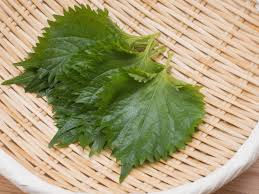 Green perilla dressing