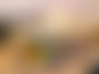 Rolled Sushi 20.01.2024 