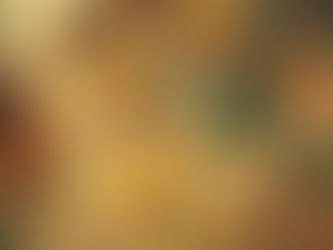 24.01 WS Memories and recipes 