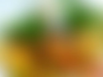 Peanut Coconut Stir-Fry