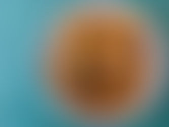 Candied walnuts(No added oil)