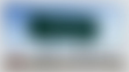 Community, and Economic Change: SEDA 