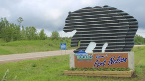 OPINION: The Best Laid Plans of Mice and Men