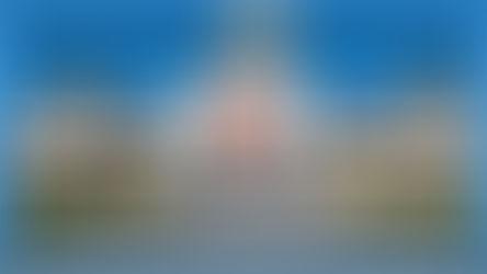 Episode 335: Rod Taylor (Christian Heritage Party Leader)