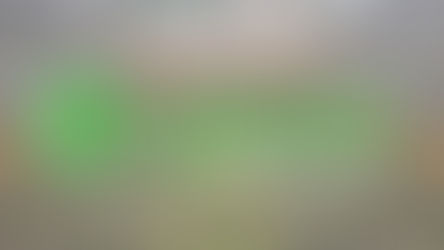 Green Party To Elect New Leader on November 19th