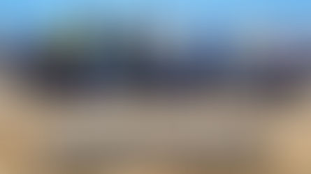 Celebrating 50 Years of the AYC