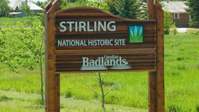 Village of Stirling Councillor Bohn Resigns