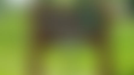 Village of Stirling Councillor Bohn Resigns