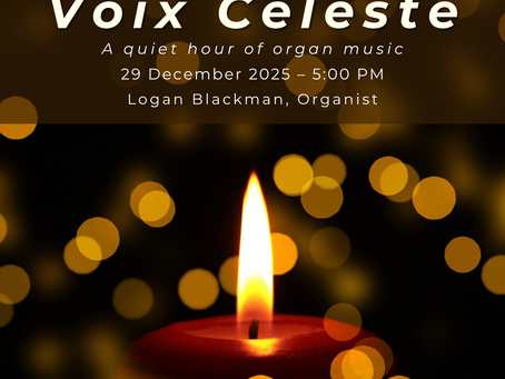 Voix Céleste — Finding Stillness in a Loud Season