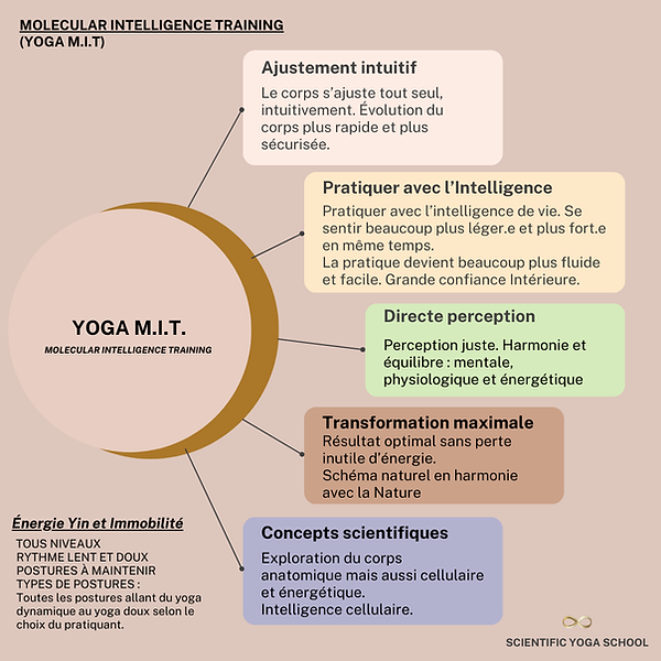 MIT YOGA SITE INTERNET.png