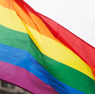 LGBT Tech Featured in Access Partnership’s Spotlight on the Digital Divide