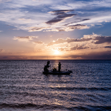 untitled image