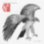 PHILIPPINE EAGLE