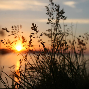 untitled image