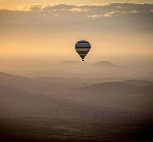 iStock-1481980541 copy.jpeg