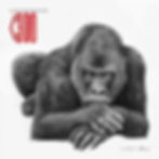 4 Cross River Gorilla 300.jpeg