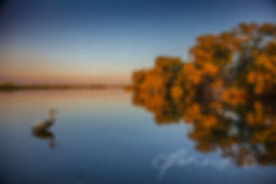 'Kavango' - Photographic Print