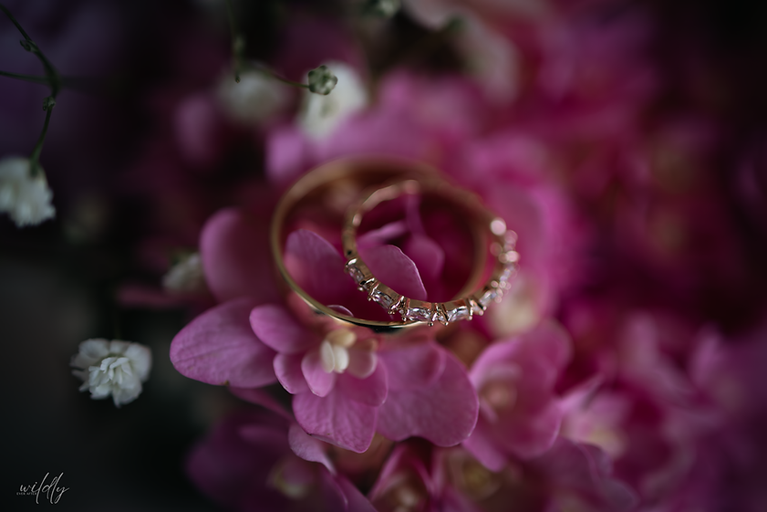 J+J Wedding Teasers (45 of 50).png