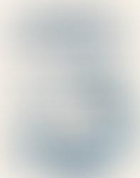 Vital Role Transparency Insight