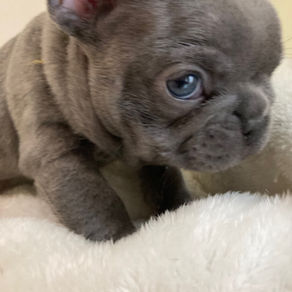 ご見学予約受付中！