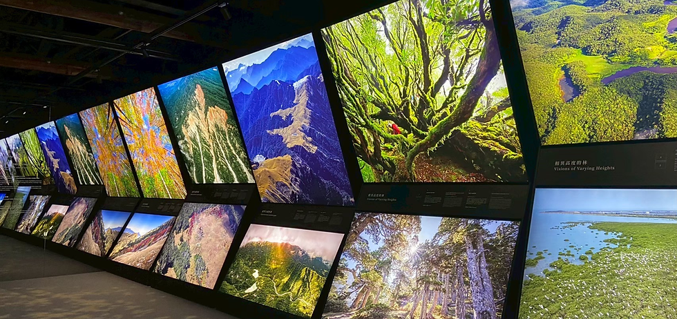 把森林帶回家,也把永續留給大地:2025年溫室氣體盤查紀實🌲