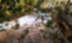 CIRCUITO DE RAPPEL ARRÁBIDA | Discover The Nature | Active Tourism