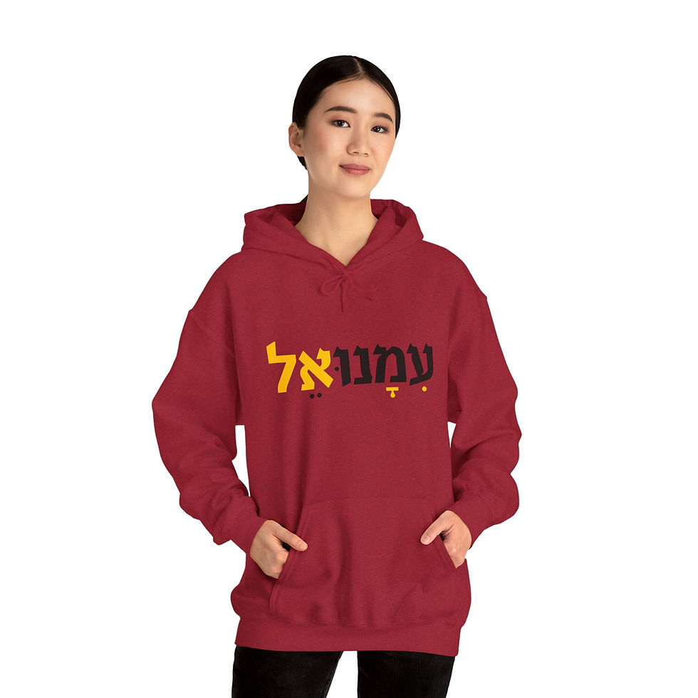 Immanuel (God with Us) in Hebrew! Hooded Sweatshirt