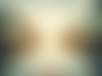 Embracing Mindfulness: A Path to Inner Peace