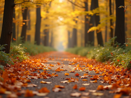 Embracing Closure: Letting Go to Make Room for Positive Change